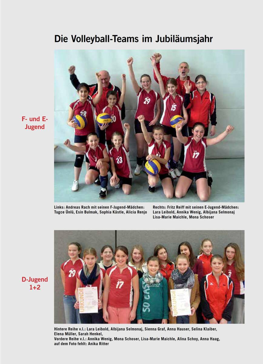 Abteilungsgeschichte Volleyball 2