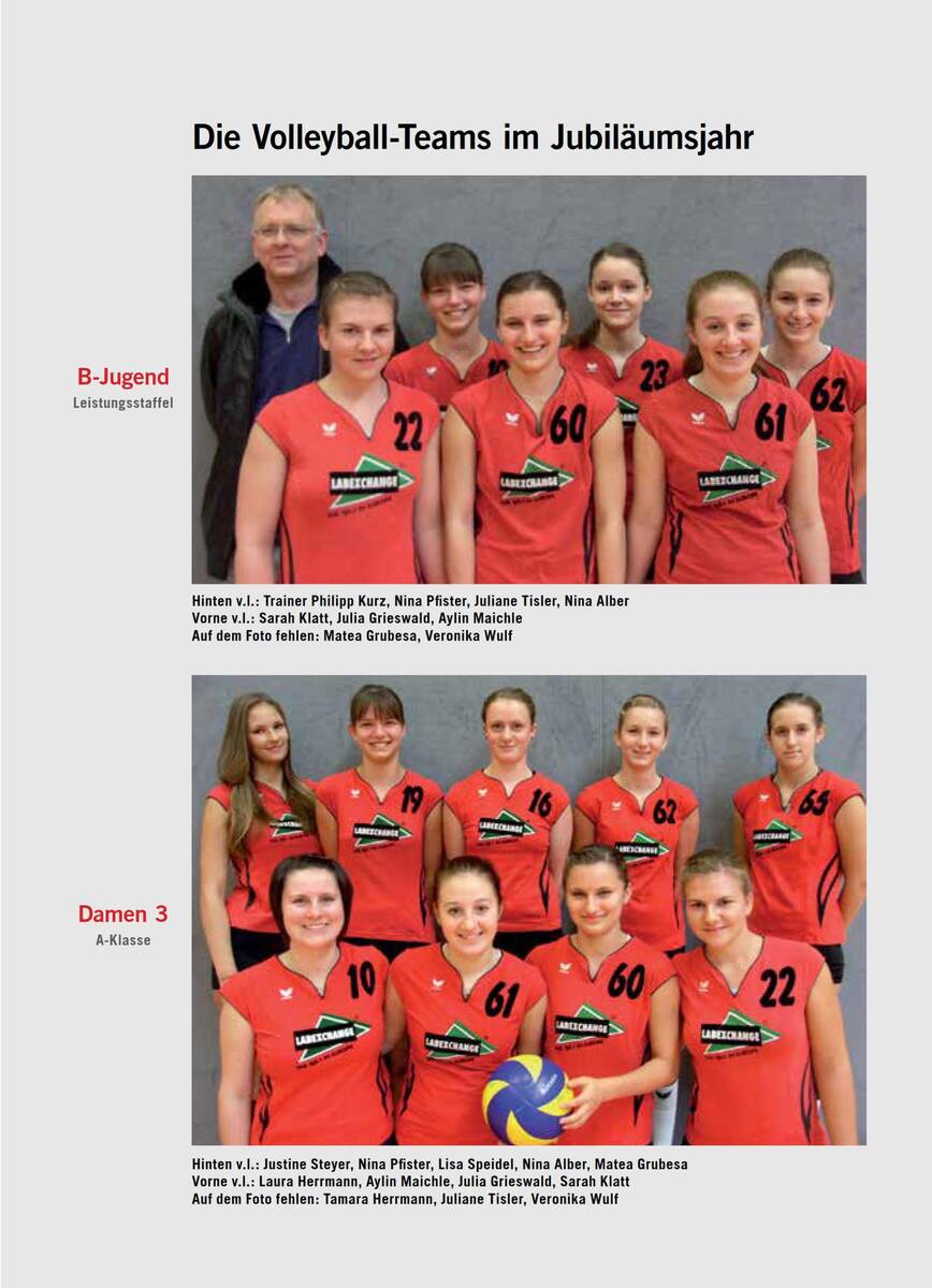 Abteilungsgeschichte Volleyball 4