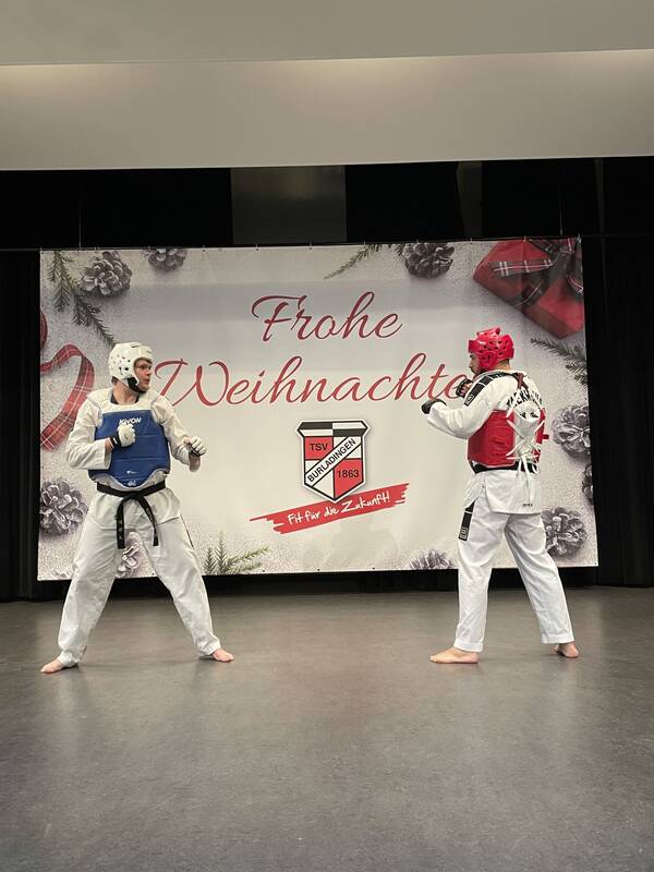Taekwondo