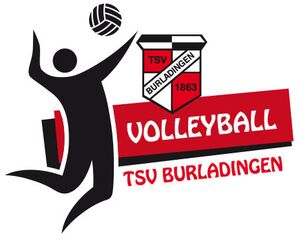 Abteilungslogo Volleyball