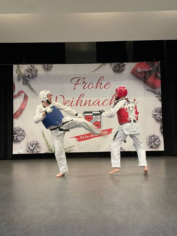 Taekwondo